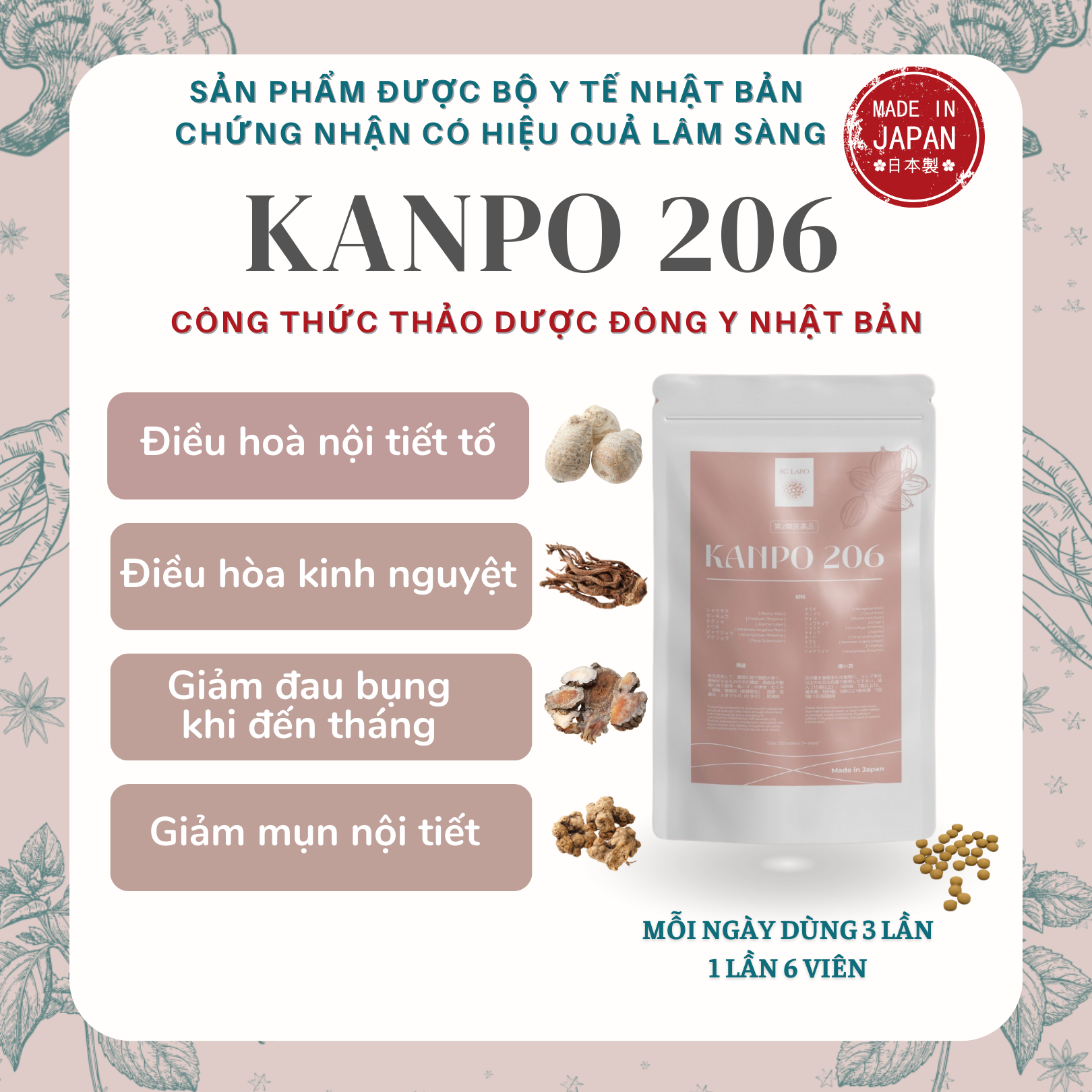 KANPO 206 BẢN MỚI